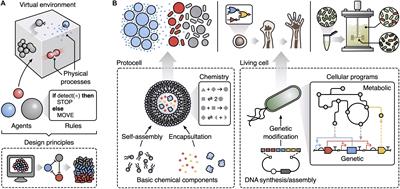 Toward Engineering Biosystems With Emergent Collective Functions